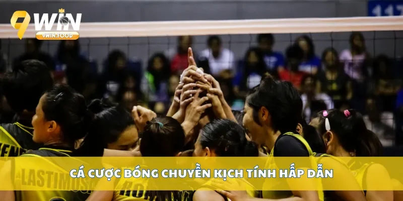 Cá cược bóng chuyền kịch tính hấp dẫn