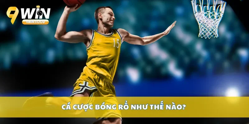 Cá cược bóng rổ như thế nào?