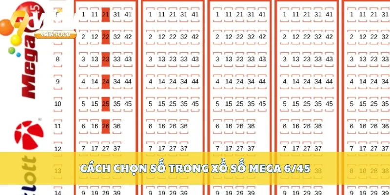 Cách chọn số trong xổ số mega 6/45