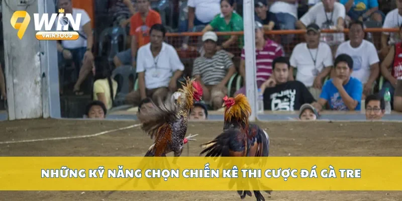 Những kỹ năng chọn chiến kê thi cược đá gà tre