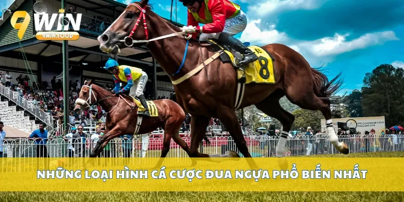 Những loại hình cá cược đua ngựa phổ biến nhất
